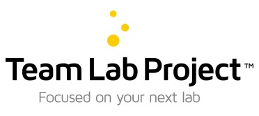 Team Lab Project